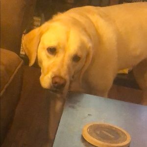 Meet your Posher, Clifford